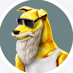 dnasjd