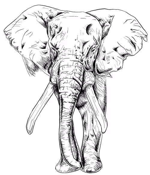 Item #115642348900939839605664246345985153537088577067861875053419533910853241798657 Media