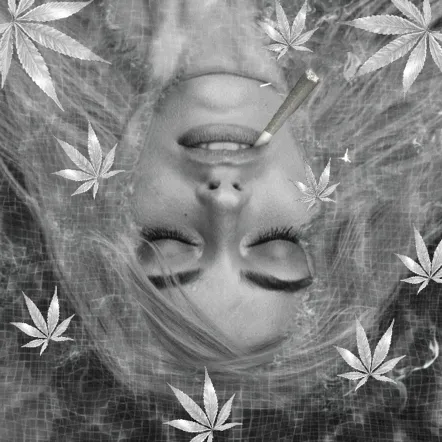 Item #44977390919060639513505607068705583876735982340724914493800311858285028311041 Media