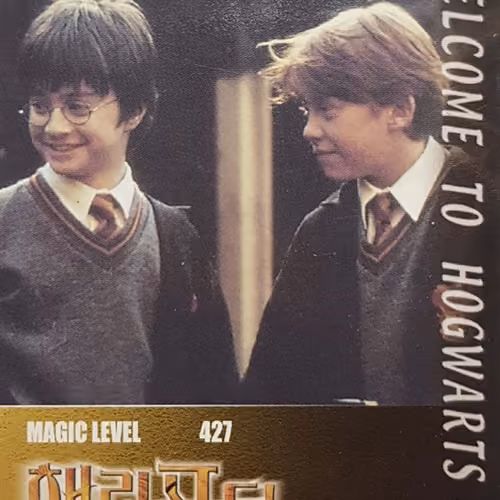 Harry Potter collection card #22