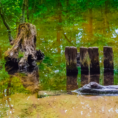 103686277115178527412315898511256896200639863012682764514094226634291655213057