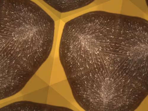 Item #69376820955182207634374405090115864776049539168882178084902512066934282911745 Media