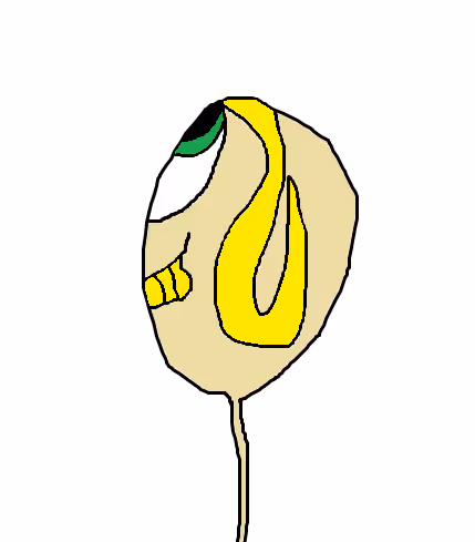 Item #55821112555373048994313304729541094956543670019884432065562934261135146221569 Media