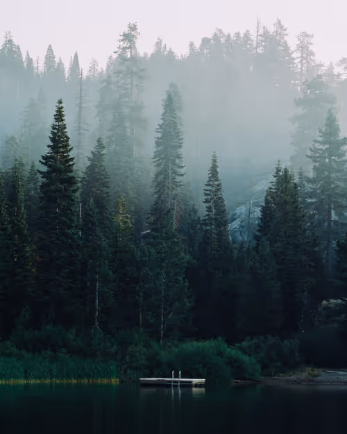 Item #38141354076463530561040962917951676198297601160396849426667128783505985634305 Media