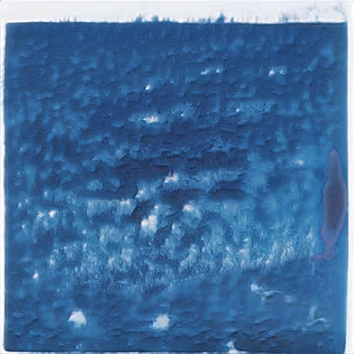 Item #13299258737790196495801407285113152458651528121223216621115067429442841214977 Media