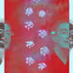 76896531291442943334974629844510447756851151435301215683733002112578495709185
