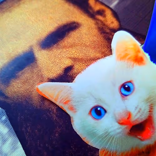 4747115153065902387790593868107453782499677024781155622119190036780916146177