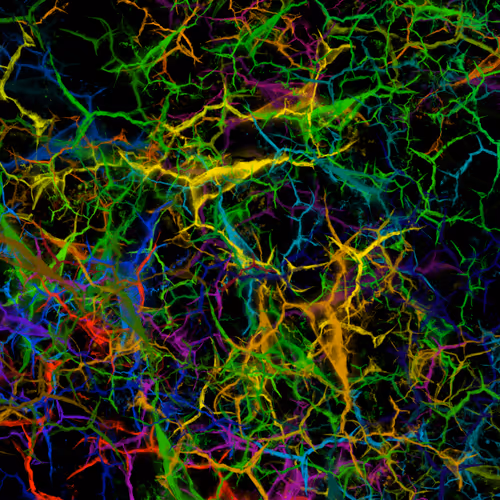 Item #50918555062582210159273167721725581522404743190091886750106034867400446312449 Media