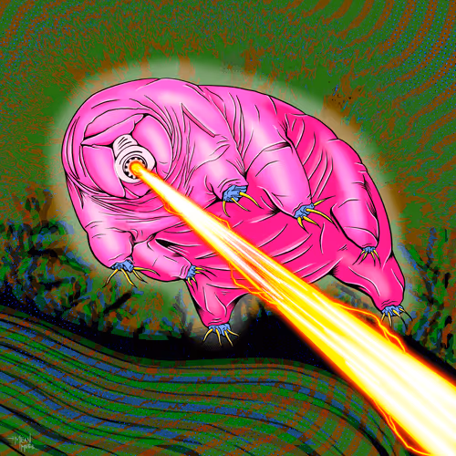 MEANMUGG: BUG ART - Editions