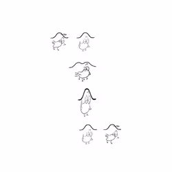 23392220428079498595821616783356579763328574506530279883149265542432230998017