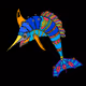 Sailfish punk