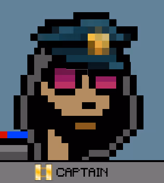 Police Punks