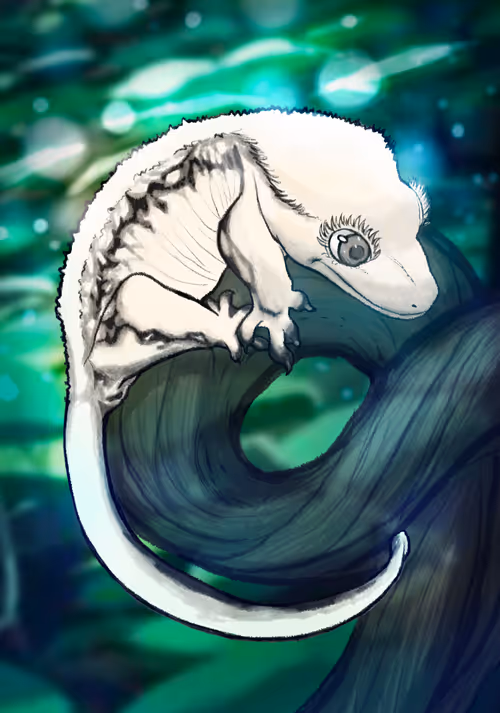 Item #23546686719633506406095790157609111049750244779414073605876924984657763631105 Media