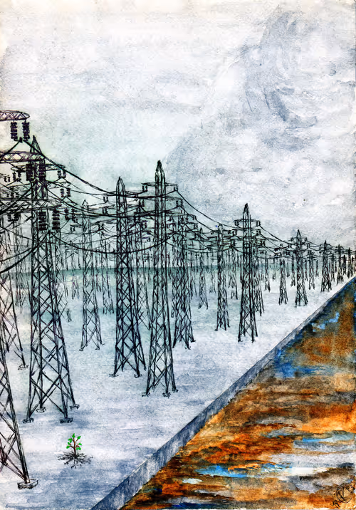 Item #26711941652724777896618574577961470022300837608019064510786697764918437871617 Media