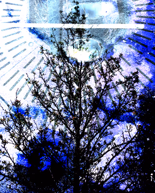 Item #58312433631864427601172952075011378080943056977712016653169188487423206621189 Media