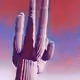 49620685826438640643893408897923322241793564004372894830532349595245302775809