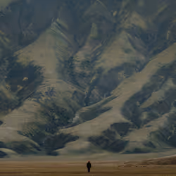 94238118312909914602868952656664220449948970021665358348110511926508118867969