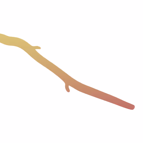 17755440104982517953853418754656261360363945618725315047813017618741375008769