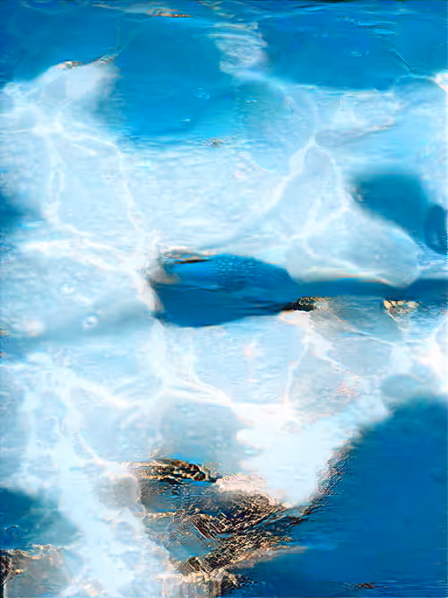 Item #93229537414336490437523354544506174310460203304918202091971729927814967721985 Media