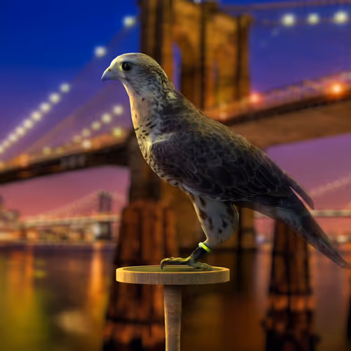 5362693153686757663037229957776630052012240176014263673100968398178712813569