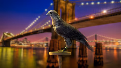 Item #5362693153686757663037229957776630052012240176014263673100968398178712813569 Media