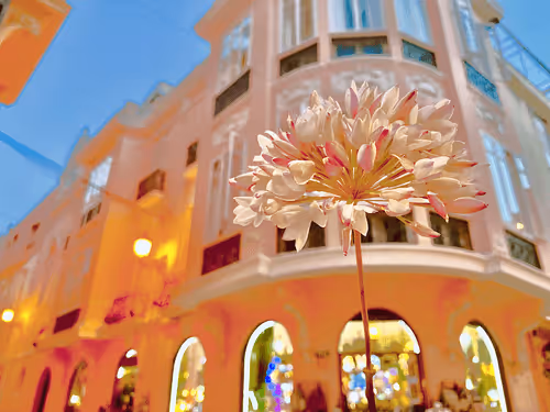 Item #64515795529198953580537894764101498903184970537215321722121713823453085171713 Media