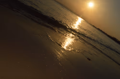 Item #5503311471662219802718148800125460752120054938104782853380324144249214861313 Media