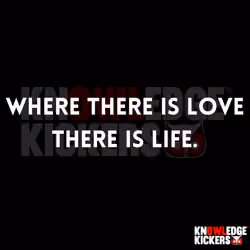 Love & Life
