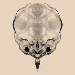 85859191866638808365331437874953228966785819470149775310971063640847877668865