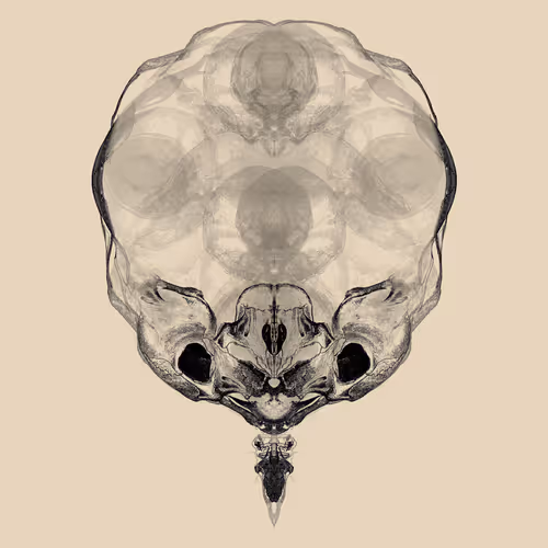 Item #85859191866638808365331437874953228966785819470149775310971063640847877668865 Media