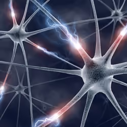 Neurons #0007