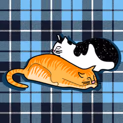 plawal VS tartan #055 rare