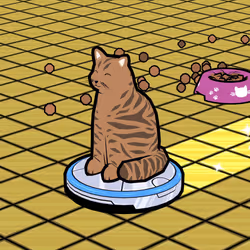 39764302218987942812095924712848200505266640499226708395794233212787817971713