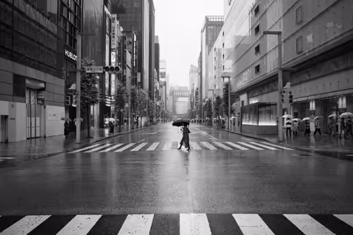 Item #41560785827232416525944829865744296418269522229924950073552194982764221562881 Media