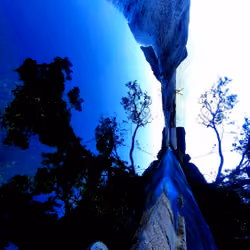 Distorted-Nature#2