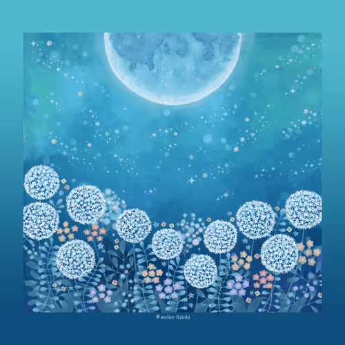 atelier_Kitobi Collection - old