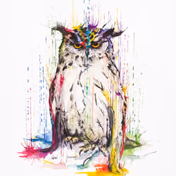Watercolor Owl