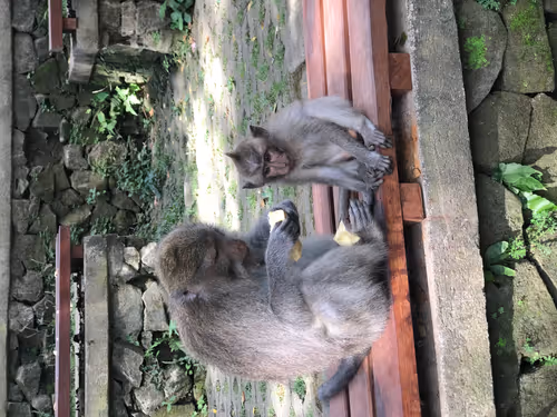 Item #87609363842710465991682086975489356954214862869006387514816886311041967849473 Media