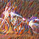 82949336086730499685315742474578474976840762069184609476742445203136729579521