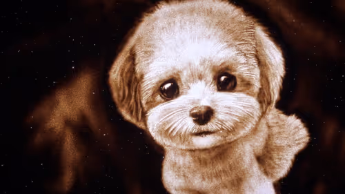 Item #64547877753568412469425259004769380681143227933510953498710243266771088834561 Media