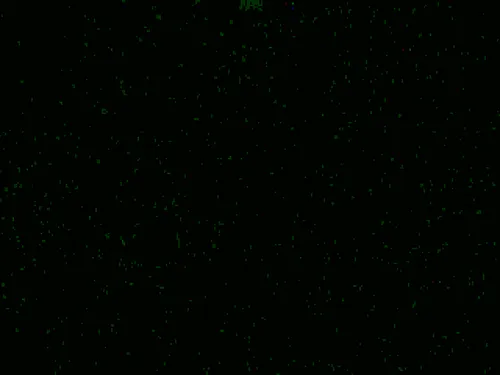 Item #50586045322935652405689262764889663081015802704882758935723149349448079900673 Media