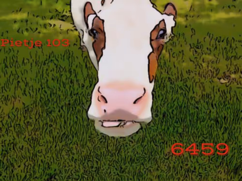 Item #106168068867162485094593885732241547229015412580842941571810197528552180547585 Media