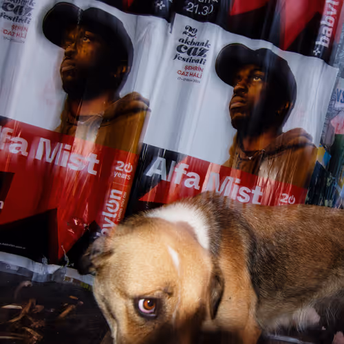 45698053960438807051727633621105073210005053048443120307747772241328822288385