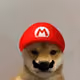 8316562894969602144694638309153562143625037230707950572202173810389284814849