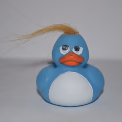 Blue Duck