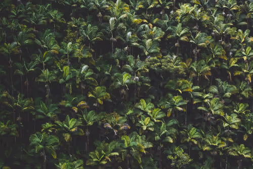 Item #78064220502355505726869985793984720926867023015257308531581829185690249723905 Media