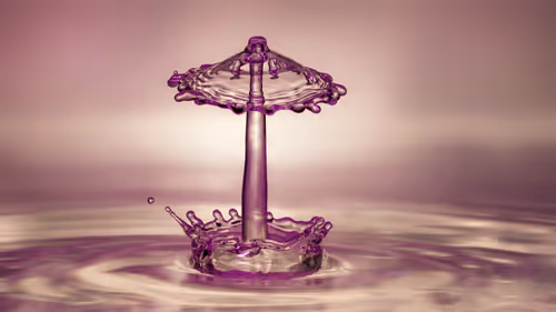 Item #46452483458583203516315982978938450085819332447988047322207474310057352495109 Media