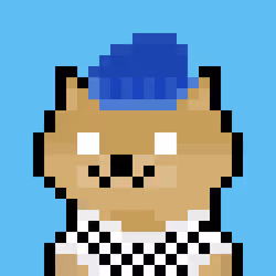 111598656821337276191636497877280569365598901253137801137061319148217126879233