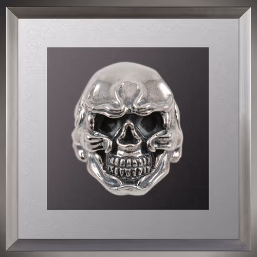 Item #44746194182793400912343588997340986758940336322370103626433839456374082240513 Media