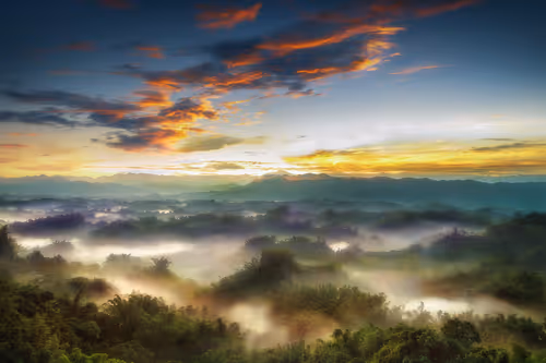 Item #94729080485503513708329965317332491879903775520225674536844109457723536441345 Media